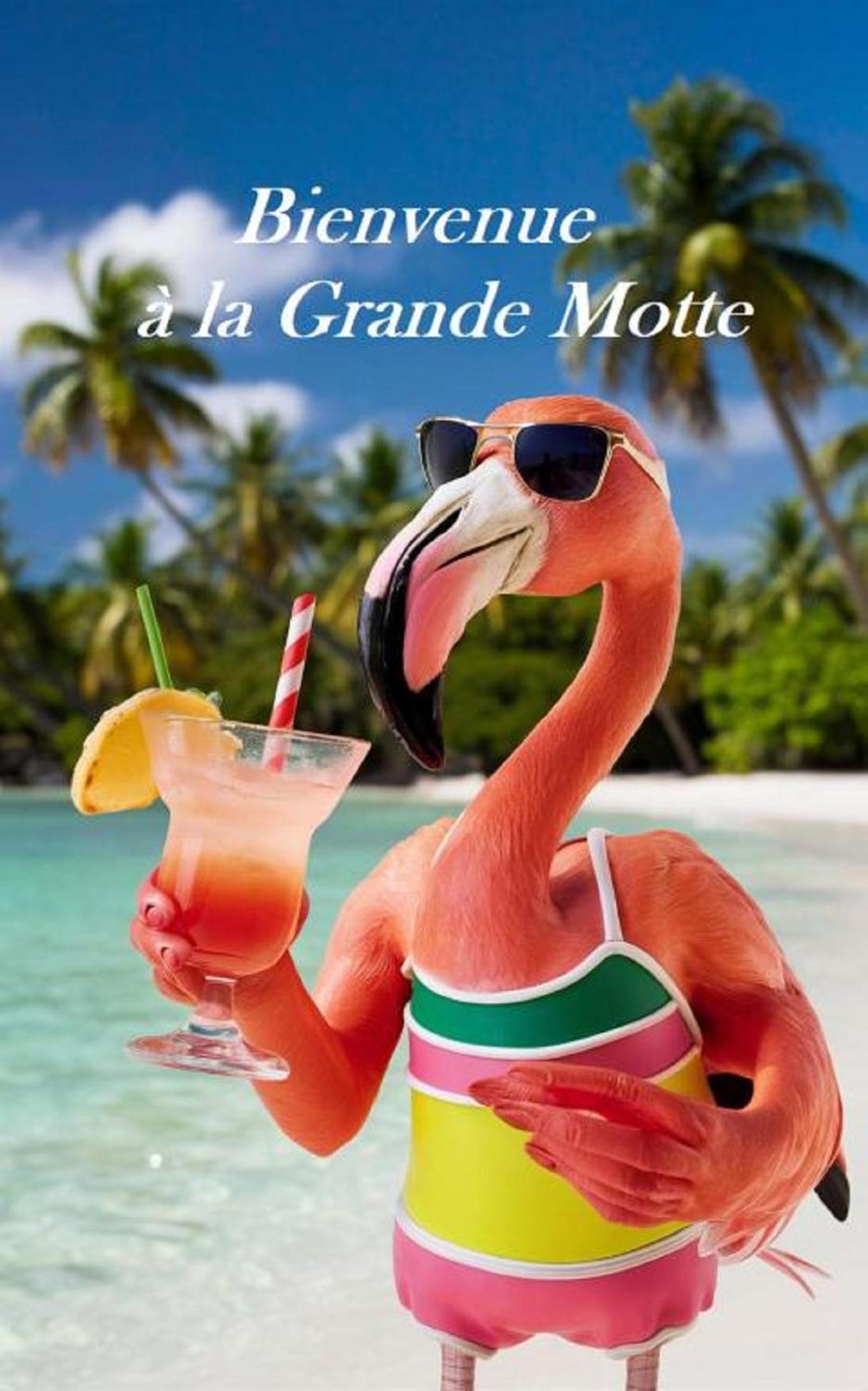 Mes Vacances A La Mer Studio 4 Pers, Parking Prive, Wifi, Linges Fournis, Climatisation La Grande Motte Exteriör bild